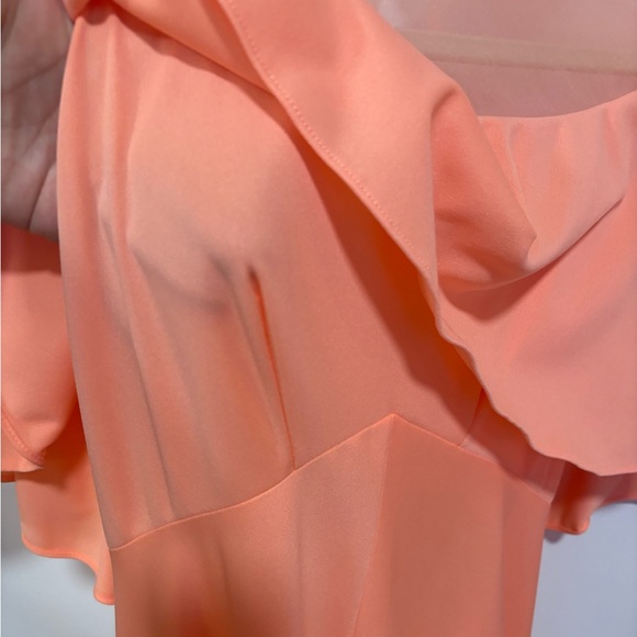 Vintage A-line Dress with Sheer Panel and Rosette - Picture 5 of 8